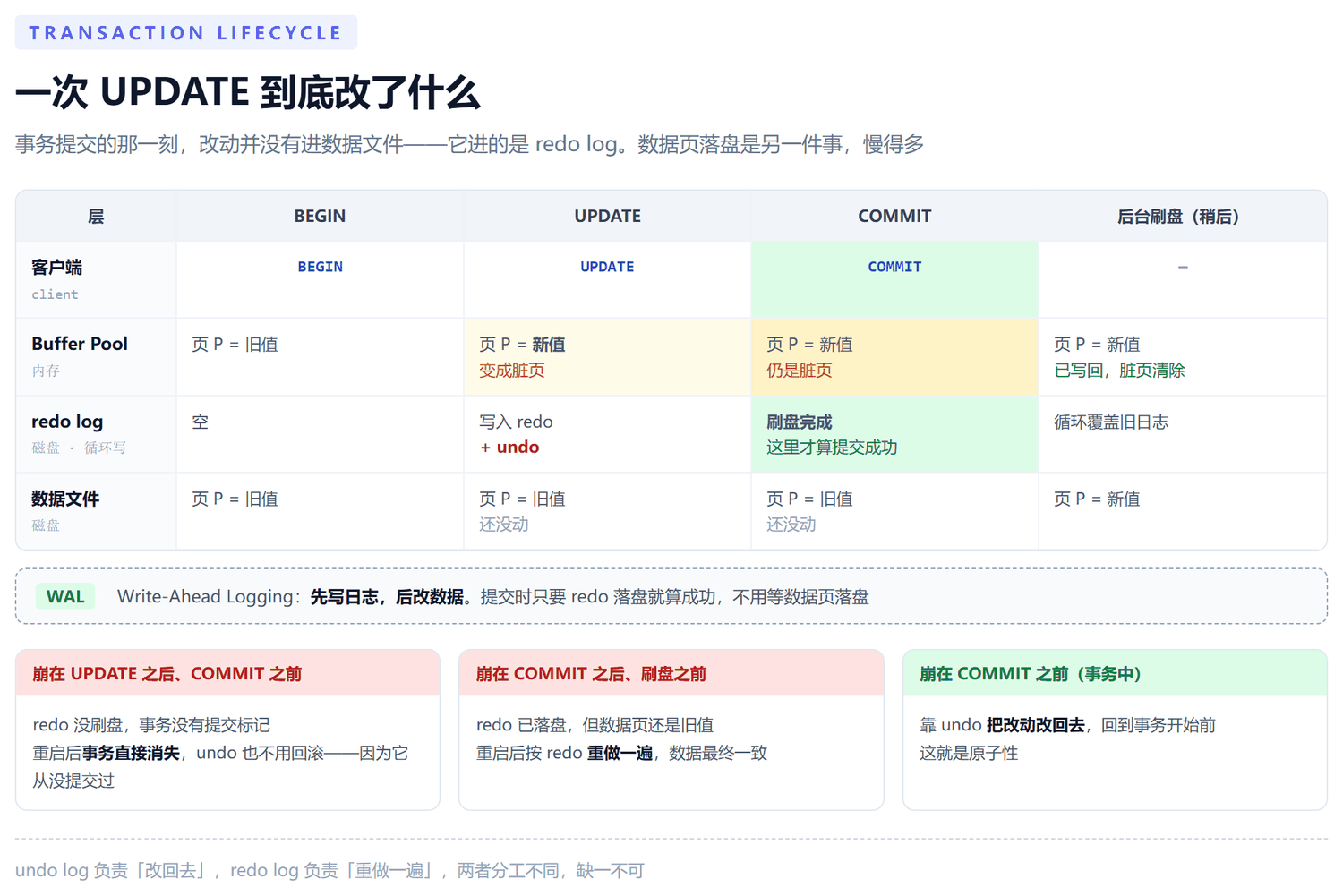 一次 UPDATE 的完整生命周期时间线:横轴是 BEGIN、UPDATE、COMMIT、后台刷盘四个时刻,纵轴分别是客户端、Buffer Pool 内存页、redo log 磁盘日志和数据文件四个层次,展示脏页产生、redo 先落盘构成提交点、崩溃后分别由 undo 回滚和 redo 重做恢复